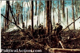 PoliticalAction.Com: Vietnam