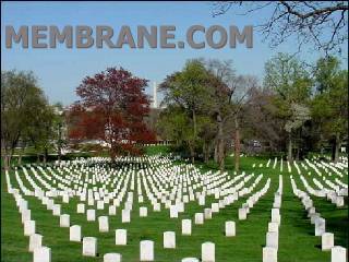Lots Of Dead People