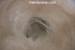 Cron Vortex: Membrane.com research
into the Universal Theorem