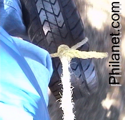 Fling On The Tire Swing